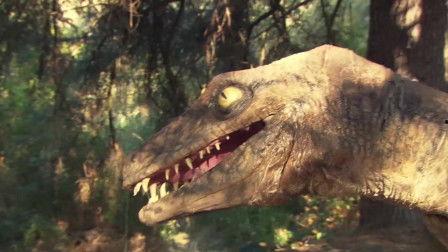 史前一亿年,地球生命演化的神秘序章