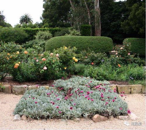 野性花园,自然奇观与生物多样性的瑰宝之旅