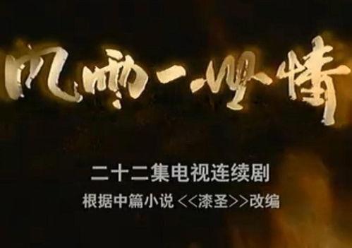 风雨一世情,岁月流转中的深情陪伴