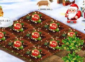 圣诞农场,童话般的冬日仙境之旅