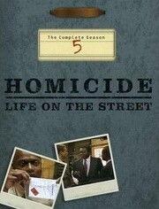 情理法的春天 第五季,第五季——法治与情感的交织篇章