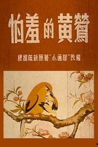 怕羞的黄莺,揭秘鸟类中的“社交恐惧症”