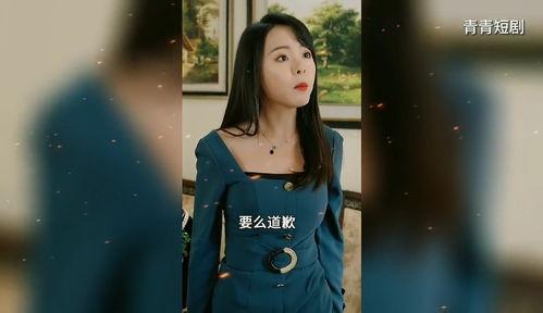 都市极品魔婿,逆袭之路，风云再起